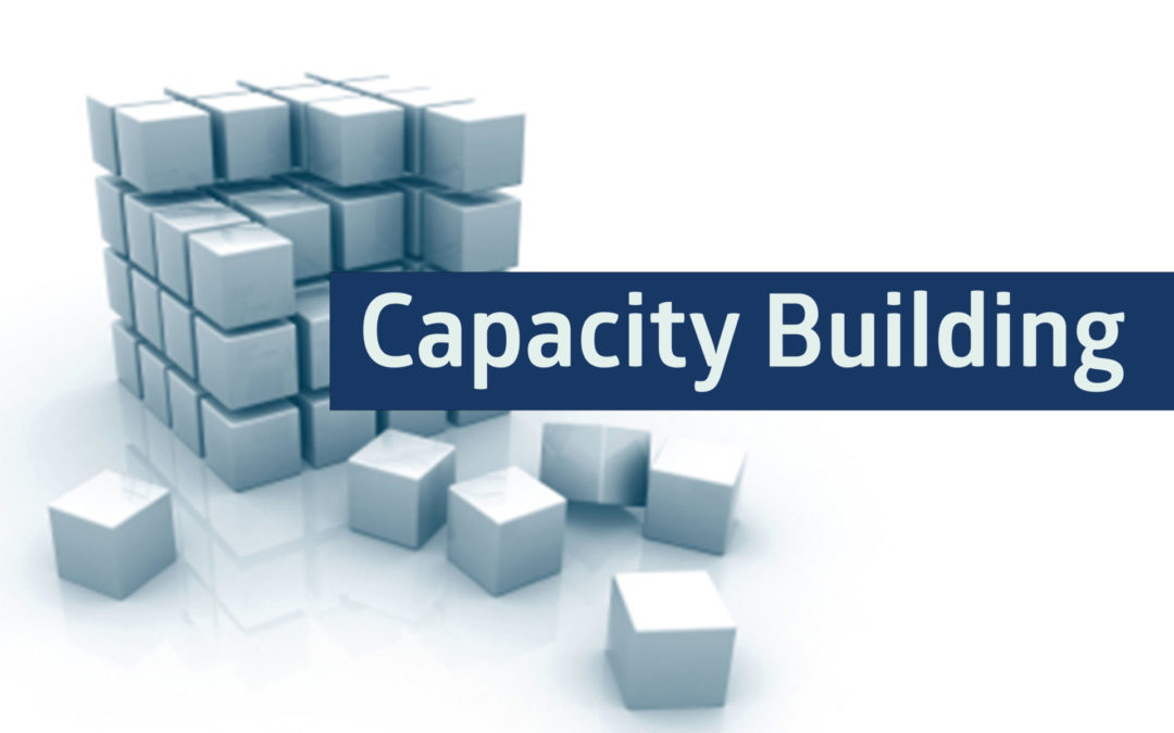 Creative SouthCoast Blog: Capacity Building